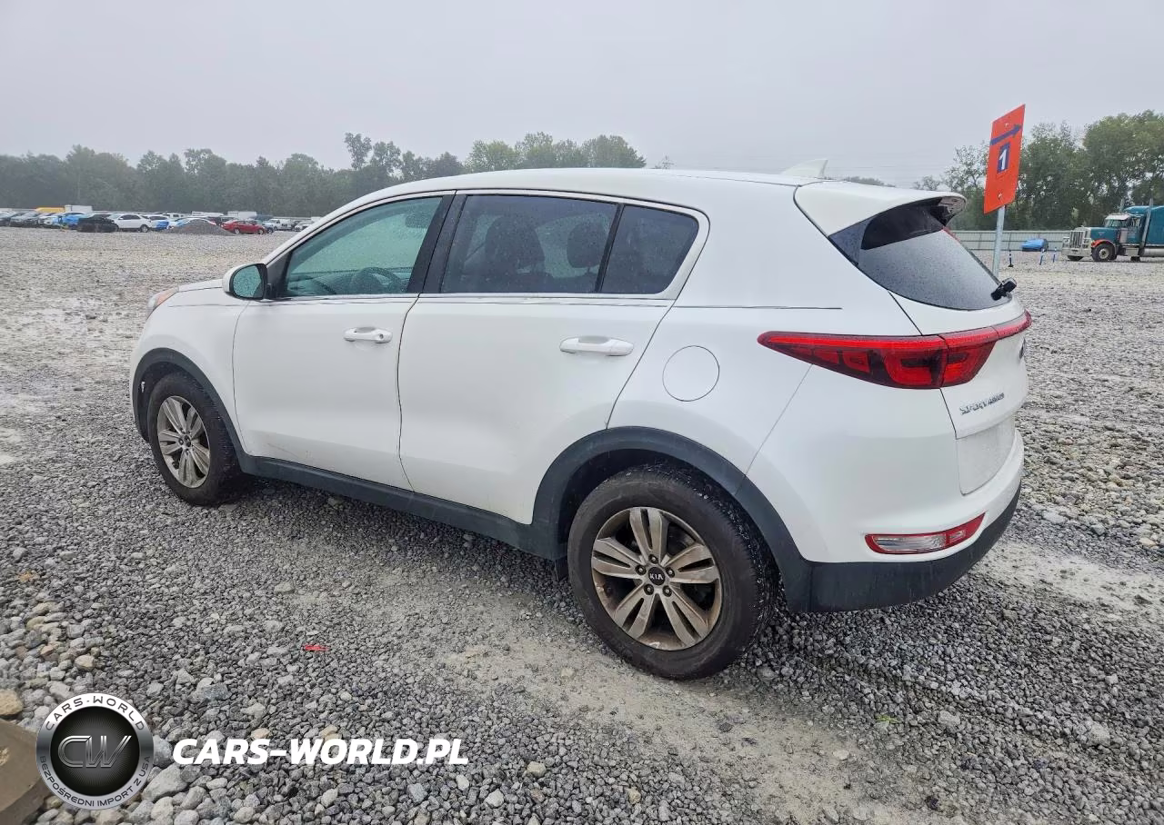 2019 Kia Sportage Lx VIN:KNDPM3AC8K7565796 - 2