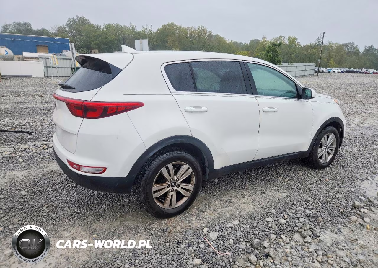 2019 Kia Sportage Lx VIN:KNDPM3AC8K7565796 - 3