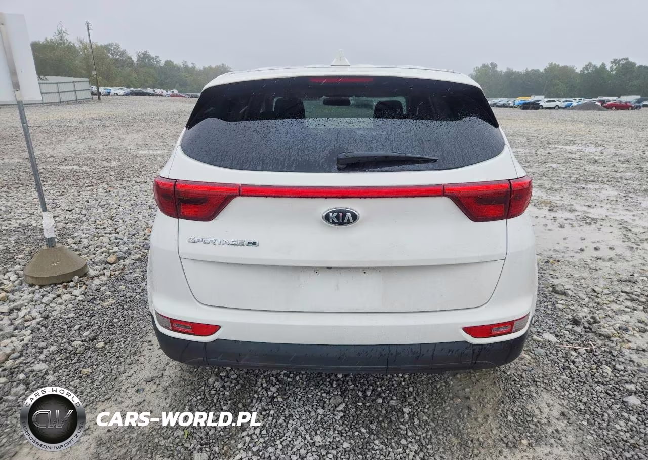 2019 Kia Sportage Lx VIN:KNDPM3AC8K7565796 - 6
