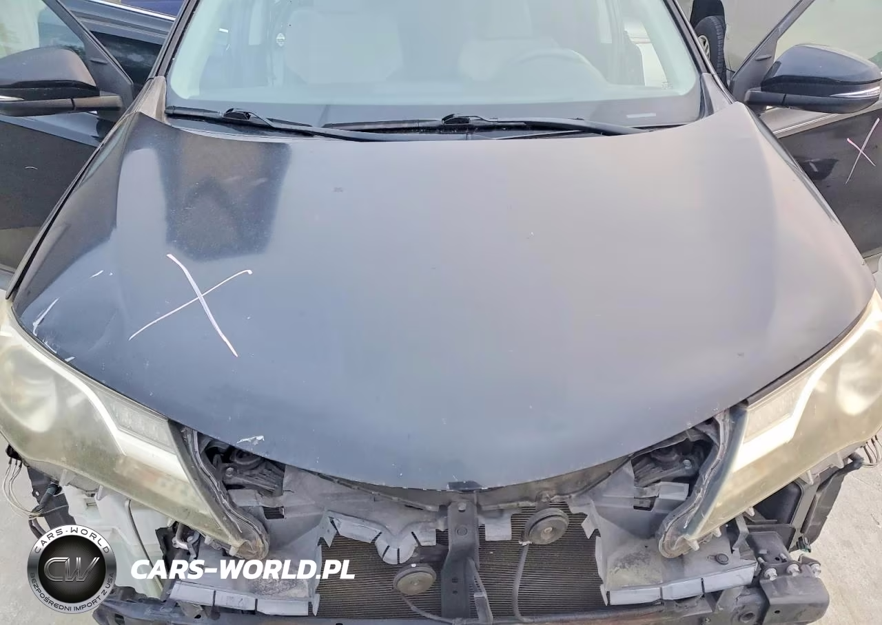2015 Toyota Rav4 Xle VIN:2T3WFREV2FW230287 - 12