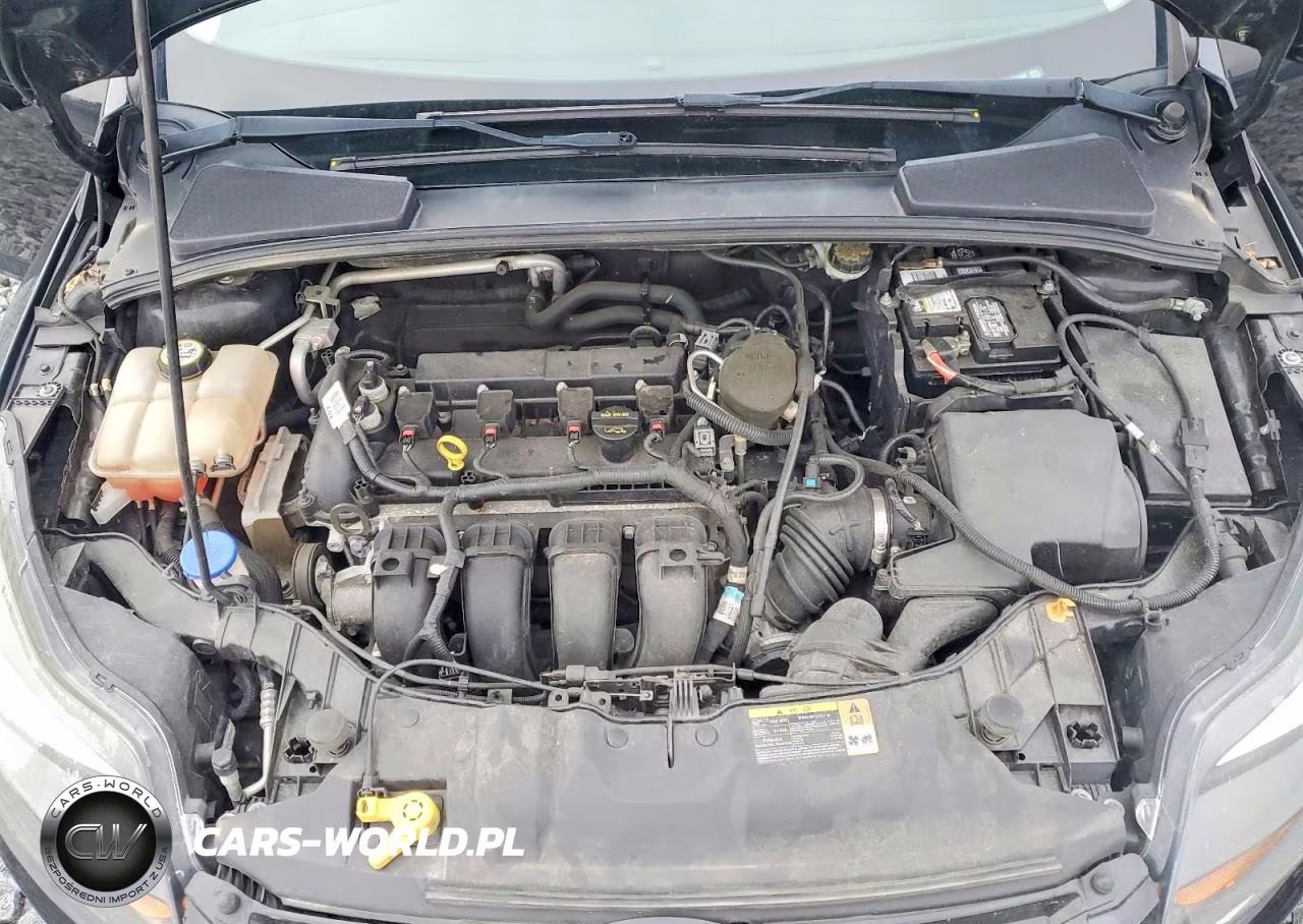 2013 Ford Focus Titanium VIN:1FADP3N26DL370503 - 11