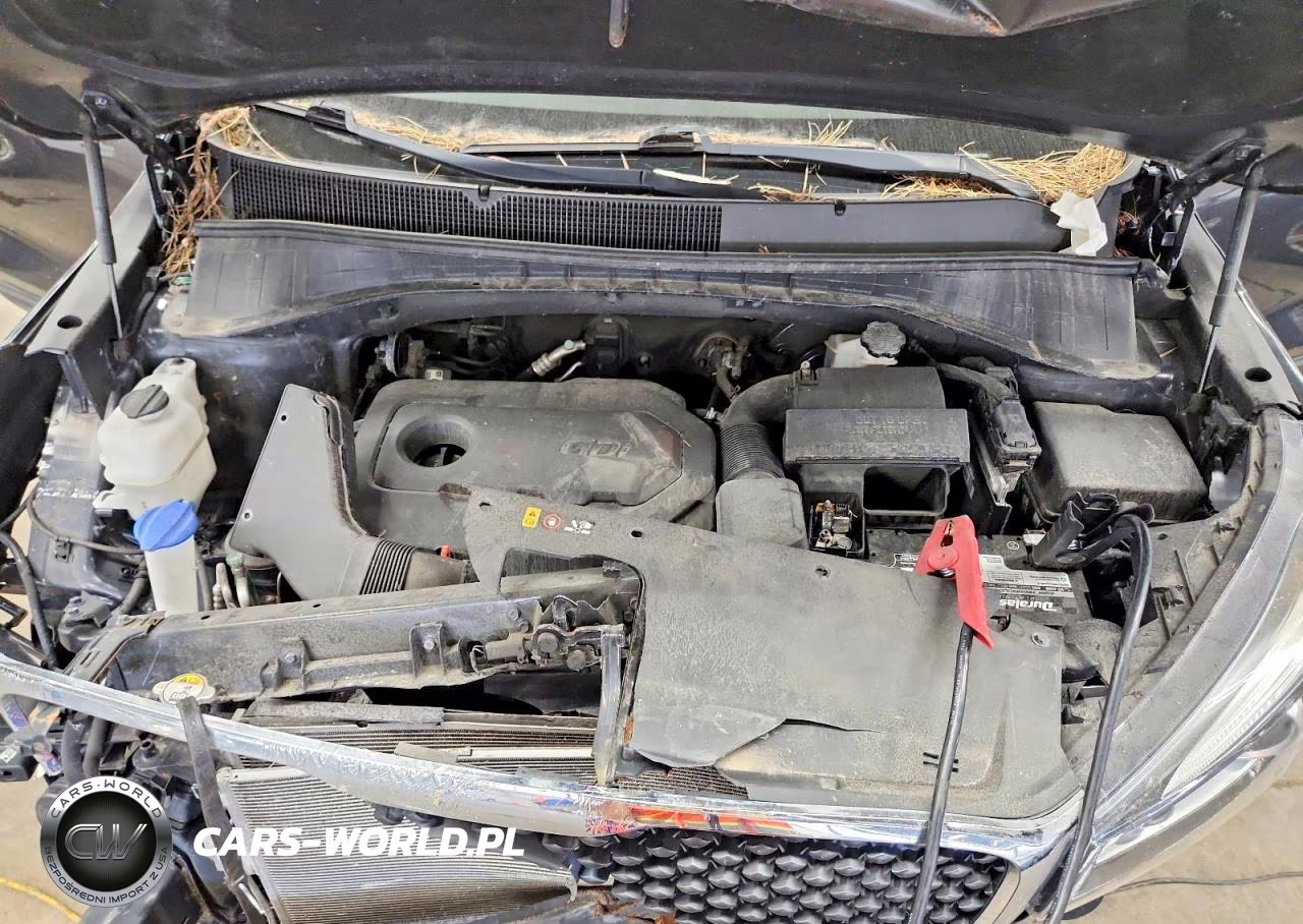 2017 Kia Sorento Lx VIN:5XYPGDA3XHG237398 - 12
