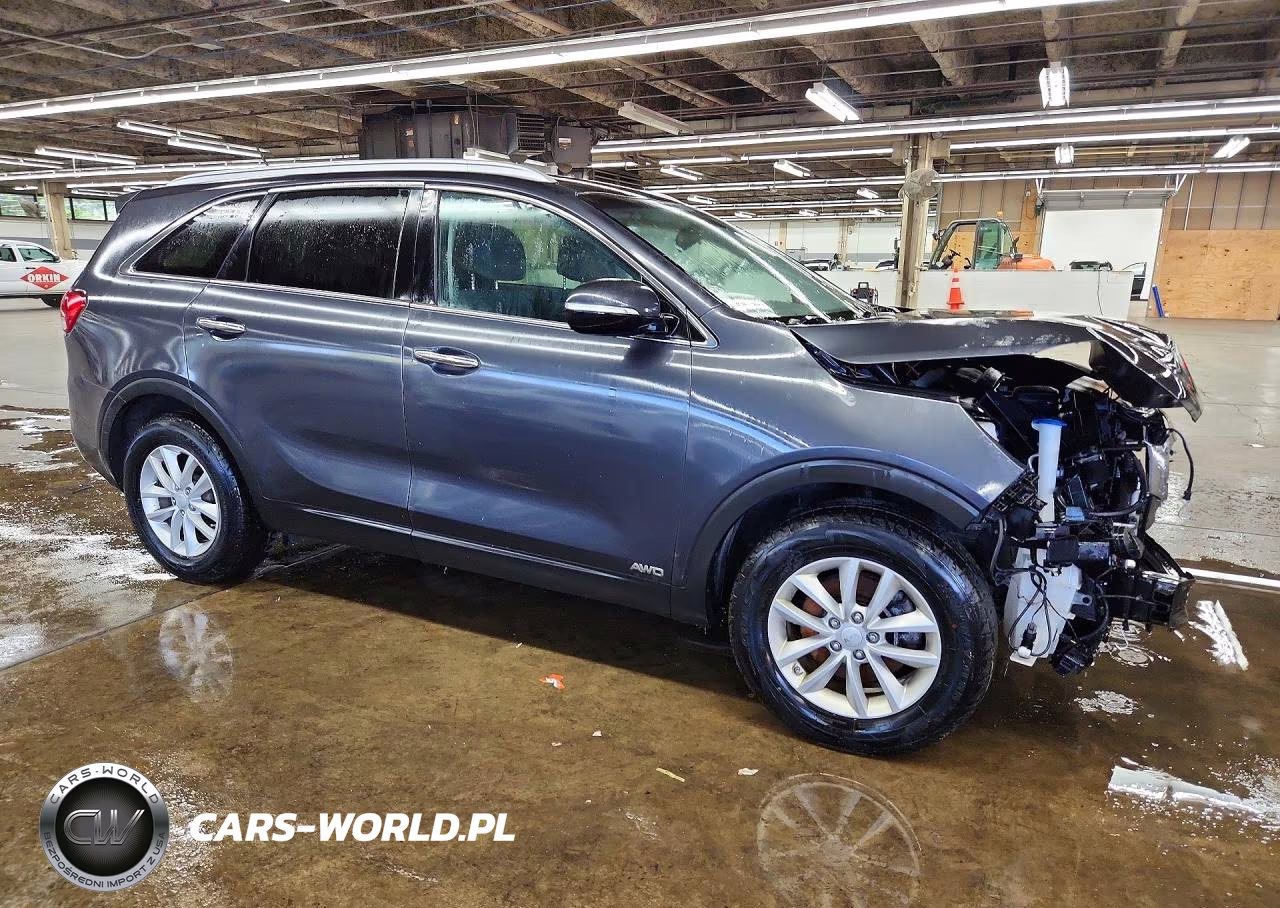 2017 Kia Sorento Lx VIN:5XYPGDA3XHG237398 - 4