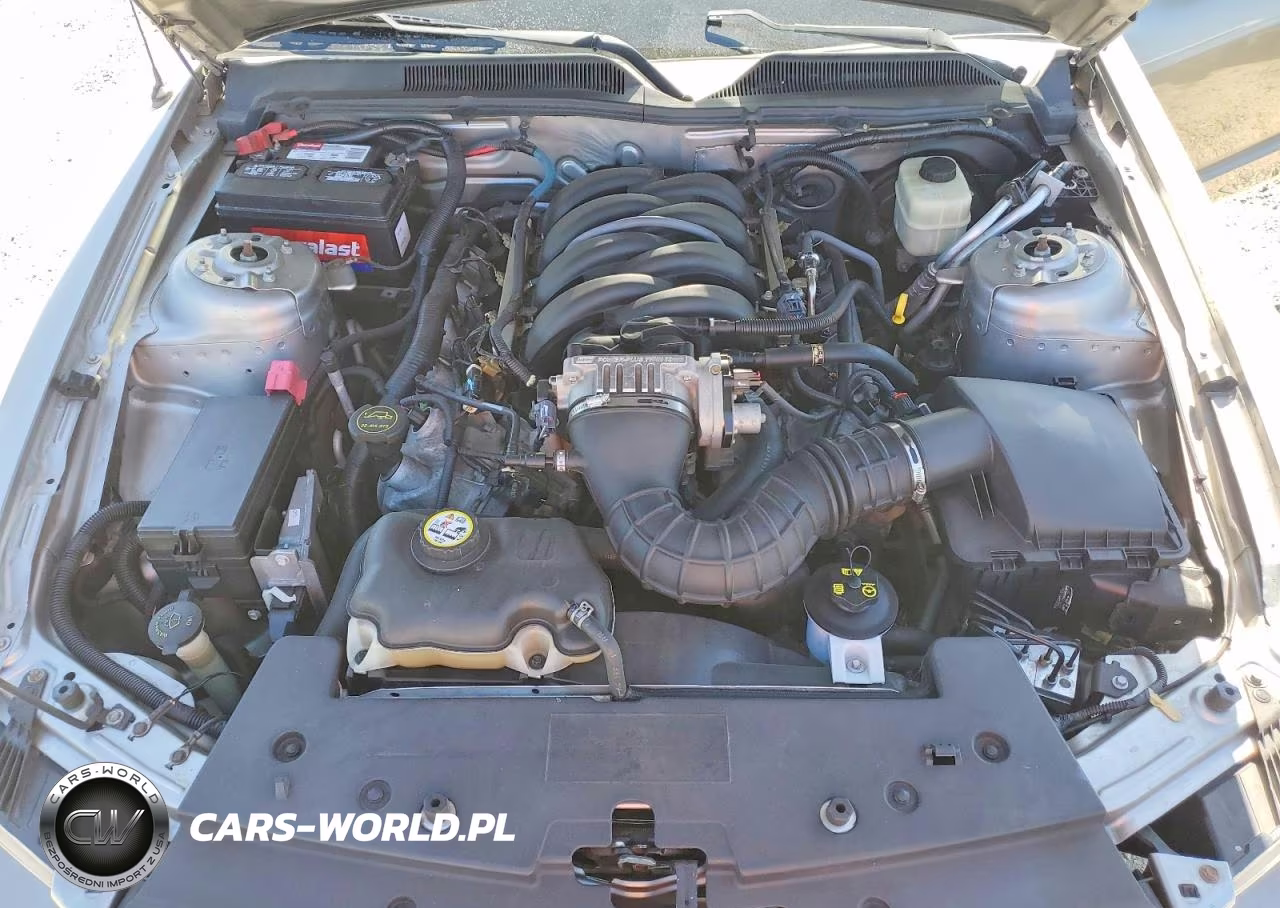 2008 Ford Mustang Gt VIN:1ZVHT85H885148447 - 11