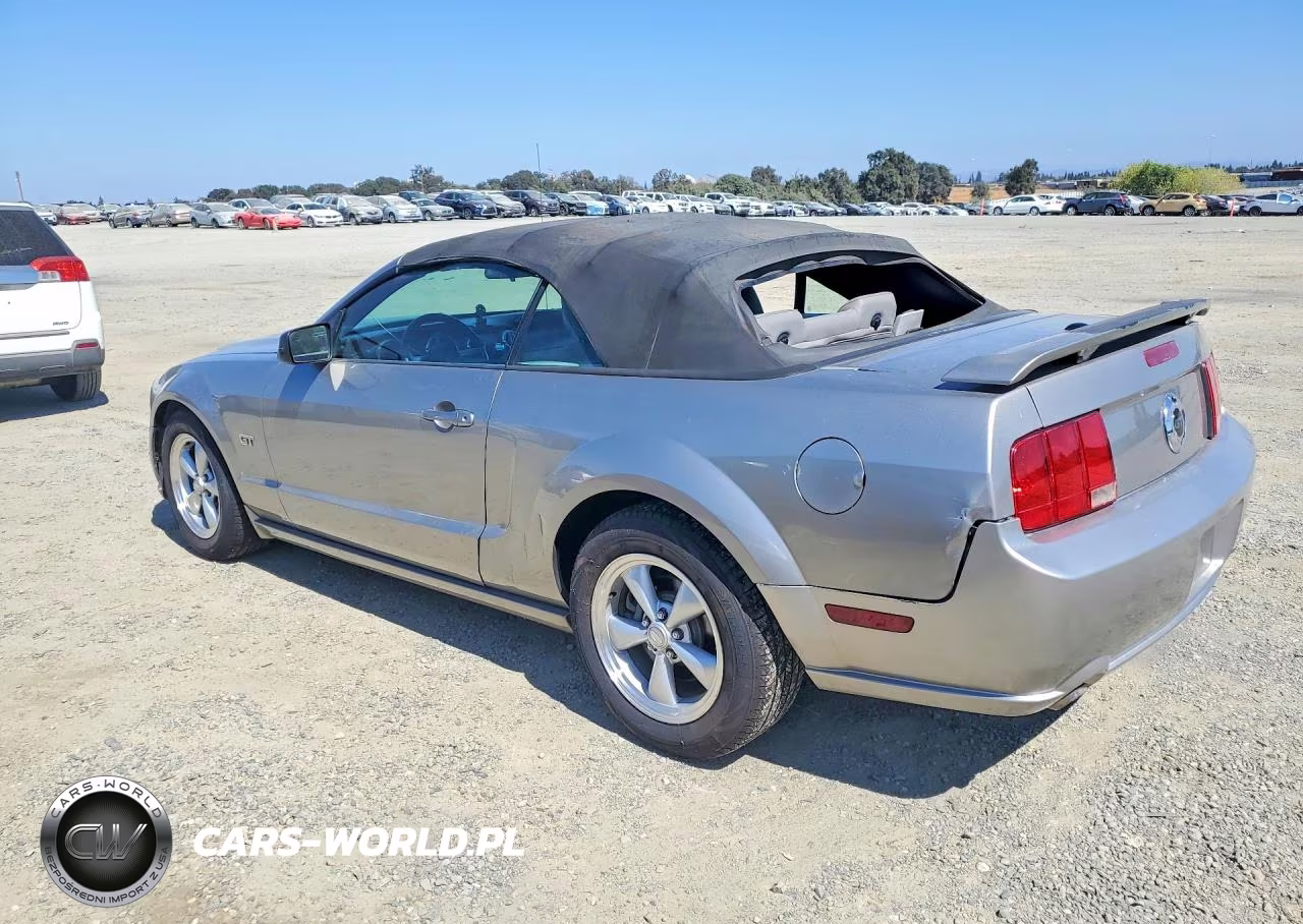 2008 Ford Mustang Gt VIN:1ZVHT85H885148447 - 2