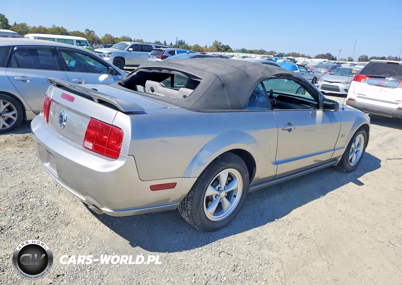 2008 Ford Mustang Gt VIN:1ZVHT85H885148447 - 3