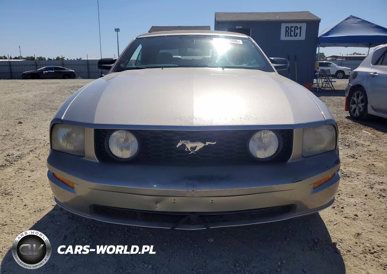 2008 Ford Mustang Gt VIN:1ZVHT85H885148447 - 5