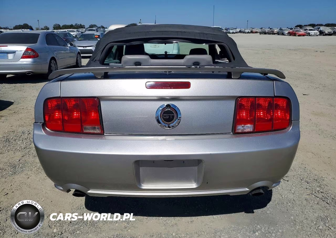 2008 Ford Mustang Gt VIN:1ZVHT85H885148447 - 6