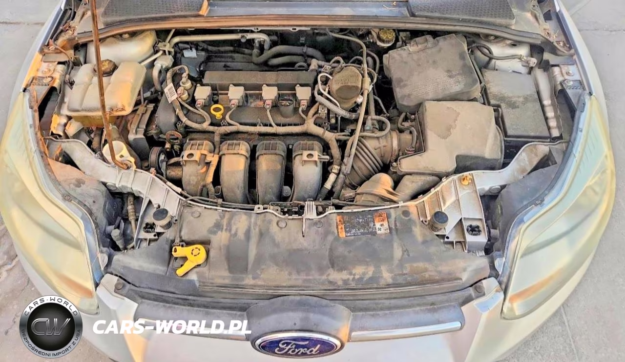 2014 Ford Focus Se VIN:1FADP3F2XEL440214 - 11