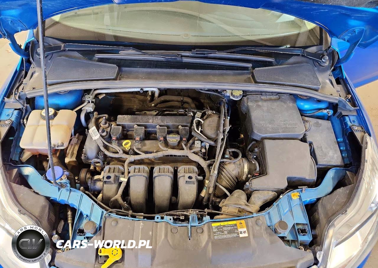 2013 Ford Focus Se VIN:1FADP3K22DL204662 - 11