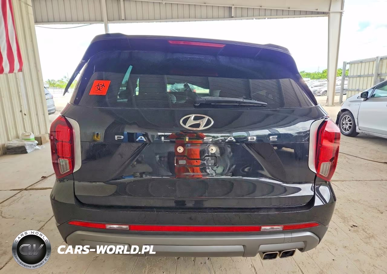 2024 Hyundai Palisade Sel Premium VIN:KM8R44GE4RU771535 - 6