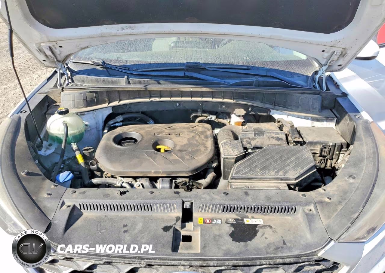 2019 Hyundai Tucson Se VIN:KM8J2CA44KU908492 - 12
