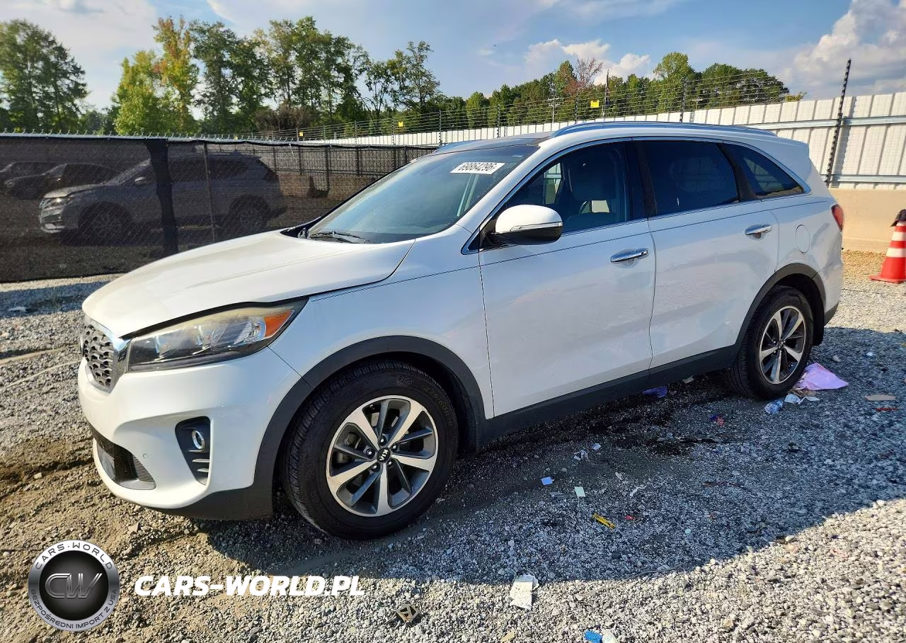 2019 Kia Sorento Ex V6 VIN:5XYPH4A51KG473959 - 1