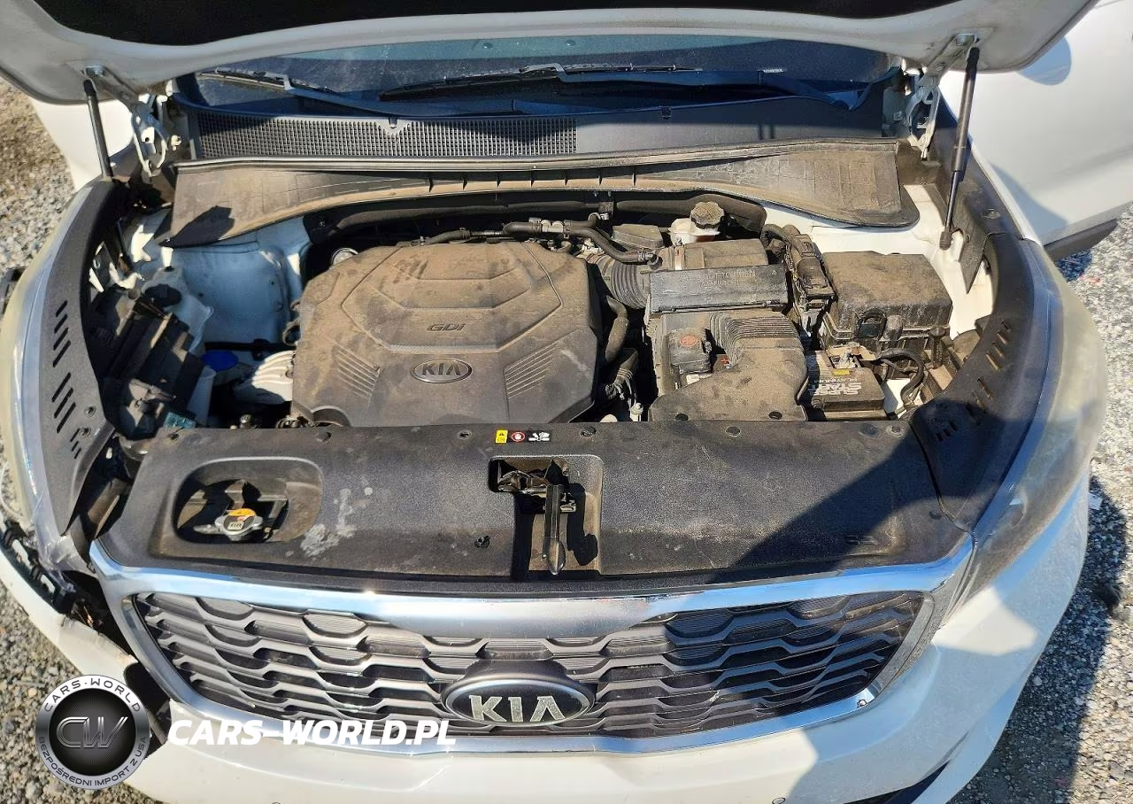 2019 Kia Sorento Ex V6 VIN:5XYPH4A51KG473959 - 12