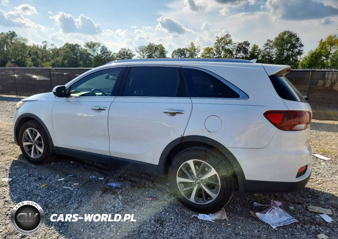 2019 Kia Sorento Ex V6 VIN:5XYPH4A51KG473959 - 2