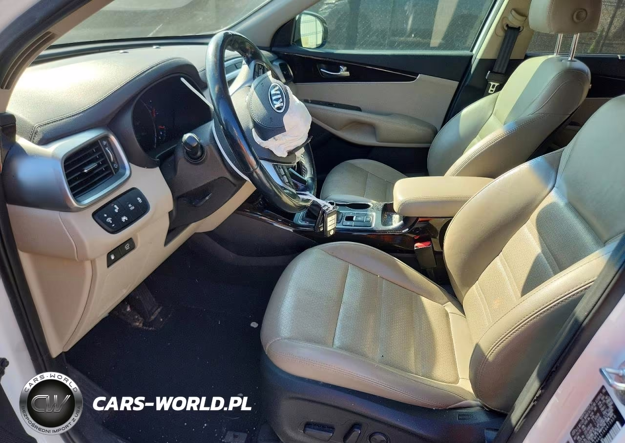 2019 Kia Sorento Ex V6 VIN:5XYPH4A51KG473959 - 7