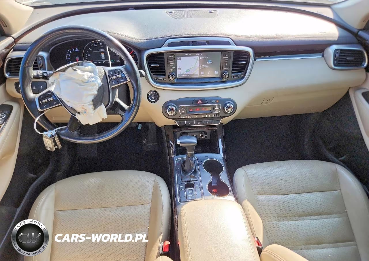 2019 Kia Sorento Ex V6 VIN:5XYPH4A51KG473959 - 8