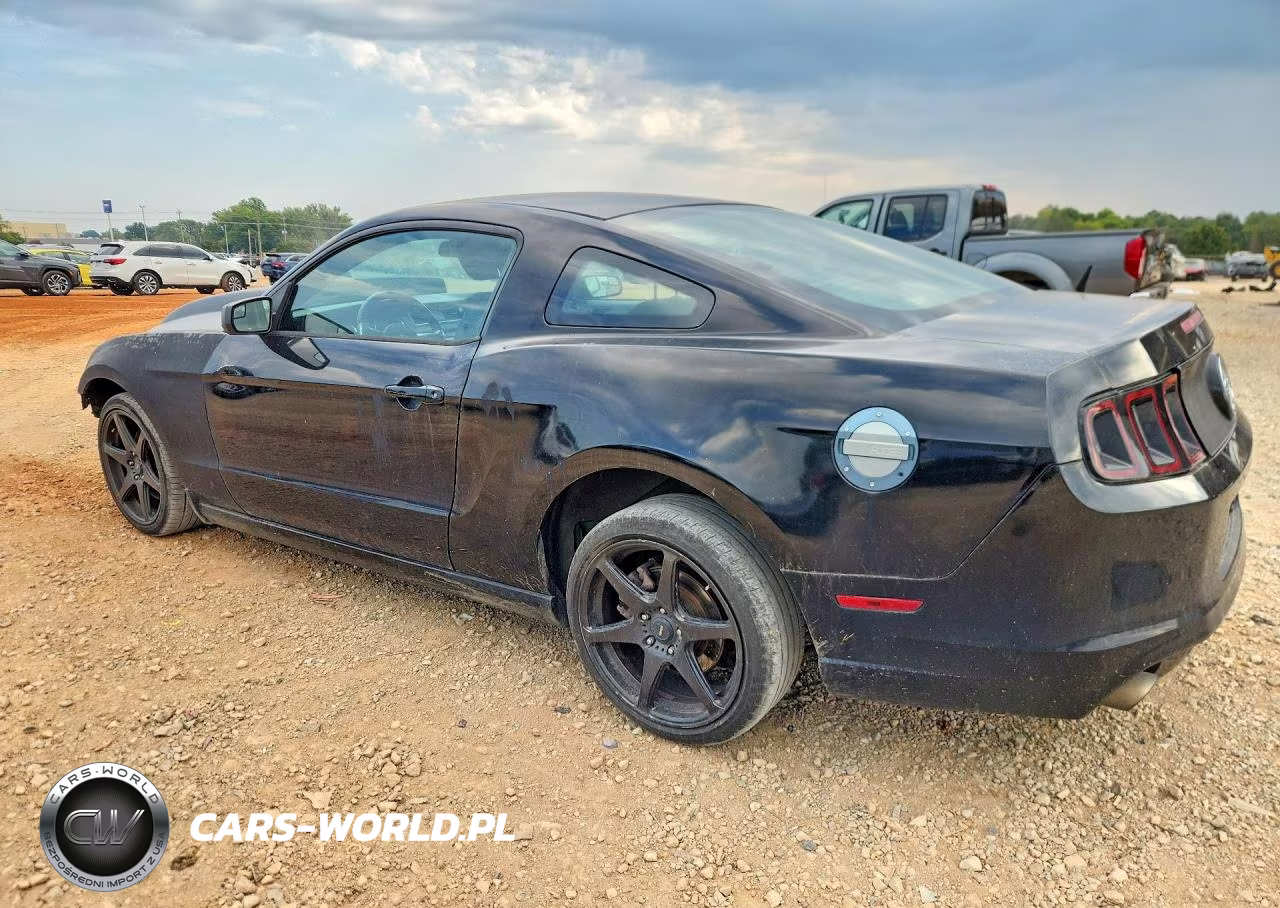 2014 Ford Mustang VIN:1ZVBP8AMXE5290260 - 2