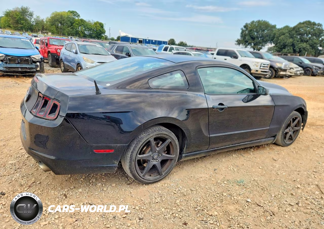 2014 Ford Mustang VIN:1ZVBP8AMXE5290260 - 3