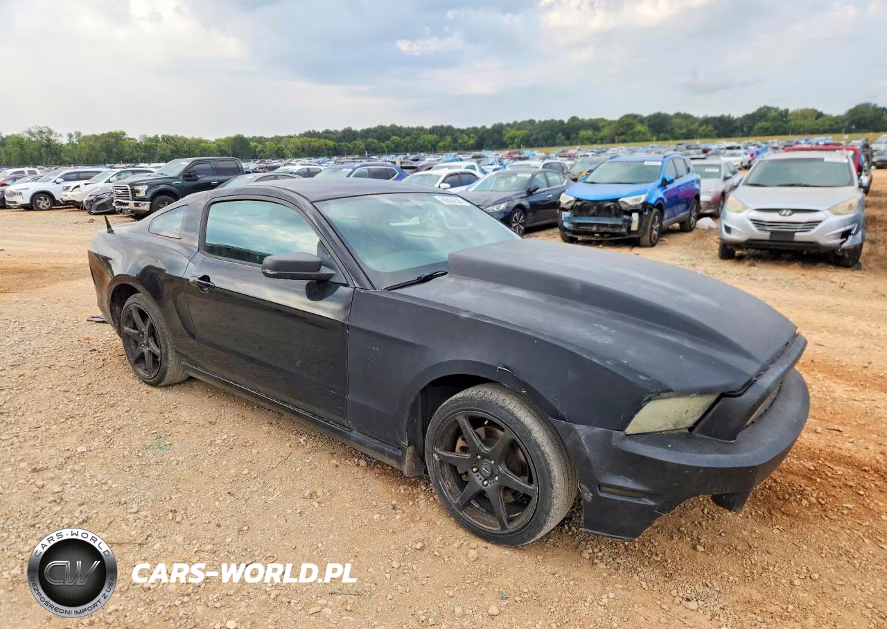 2014 Ford Mustang VIN:1ZVBP8AMXE5290260 - 4