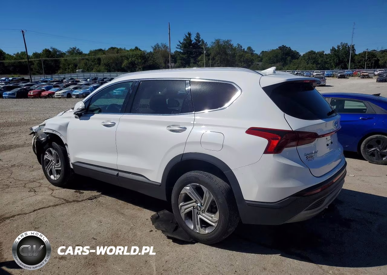 2023 Hyundai Santa Fe Sel VIN:5NMS2DAJ6PH552162 - 2