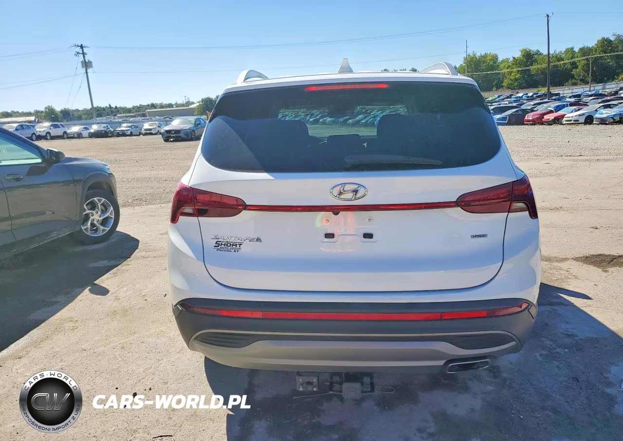 2023 Hyundai Santa Fe Sel VIN:5NMS2DAJ6PH552162 - 6
