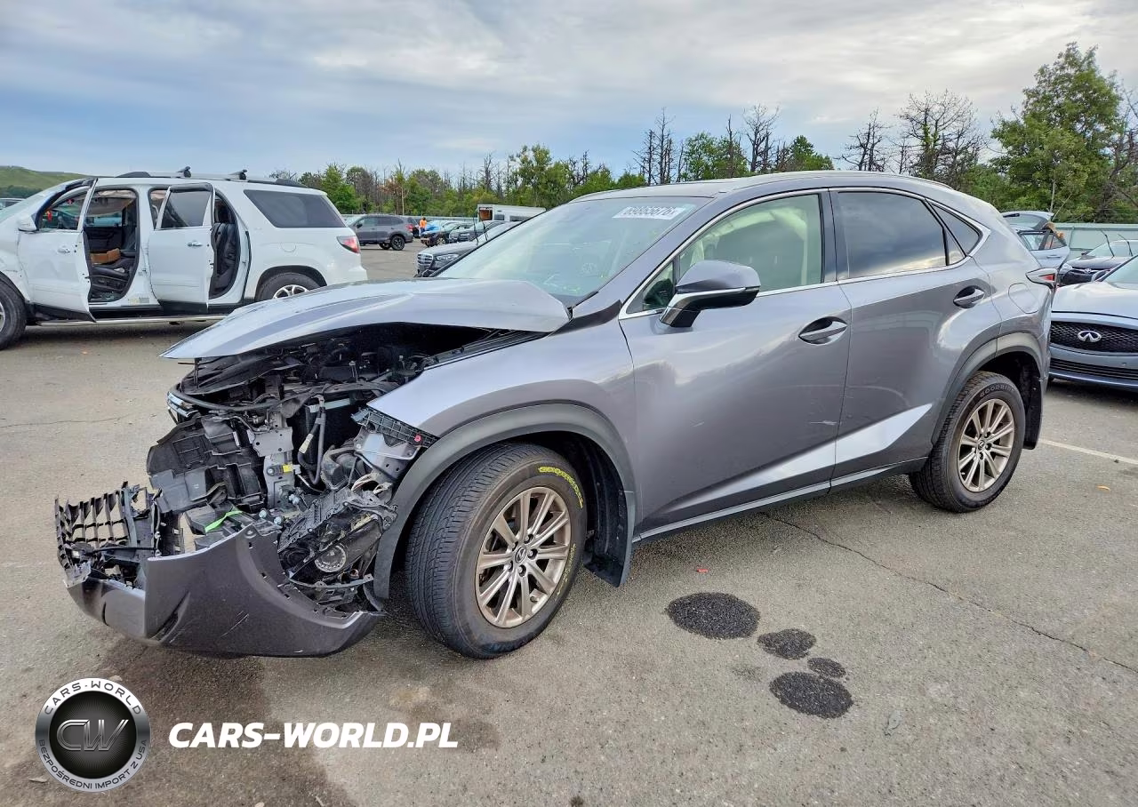 2020 Lexus Nx 300