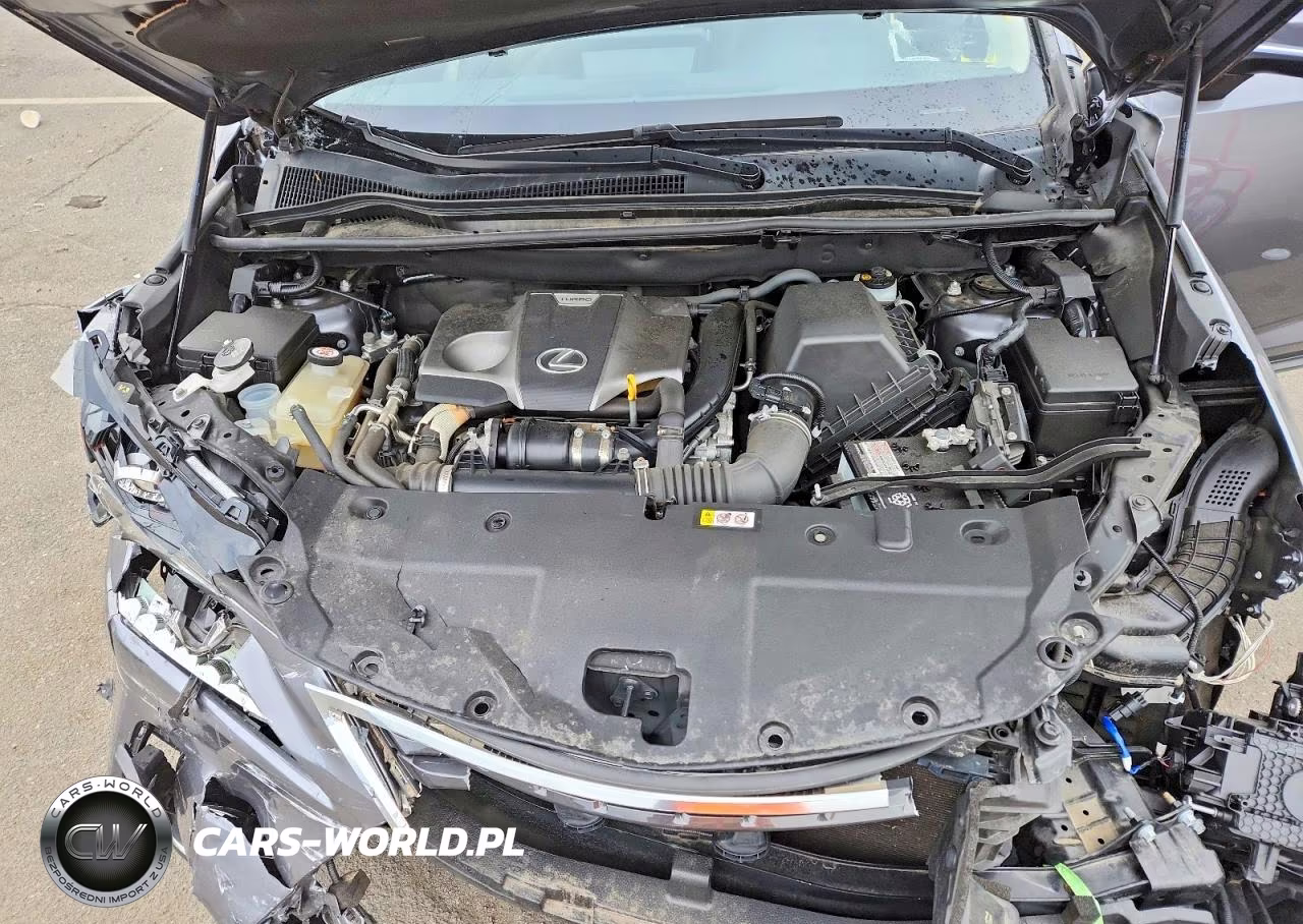 2020 Lexus Nx 300 VIN:JTJDARDZ3L2231542 - 12
