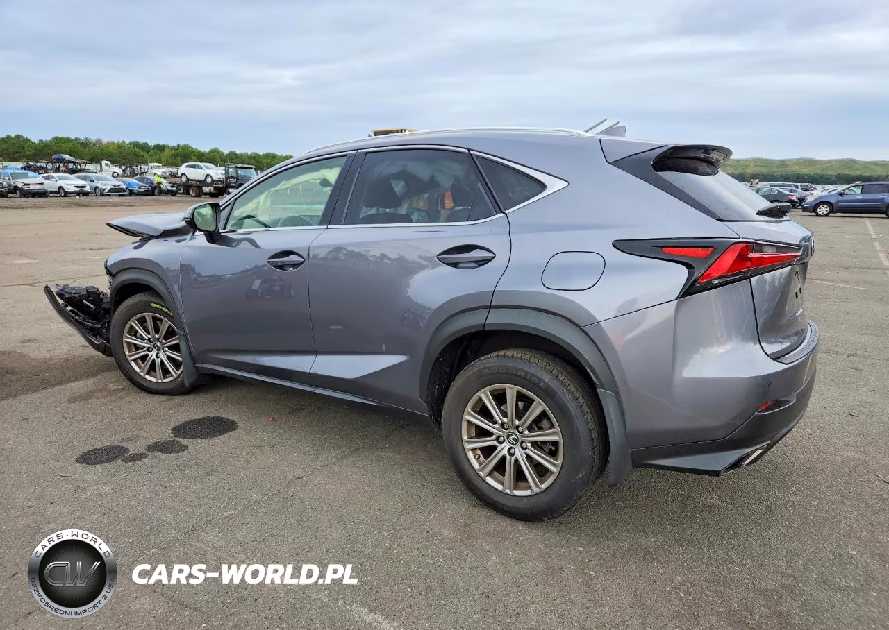2020 Lexus Nx 300 VIN:JTJDARDZ3L2231542 - 2