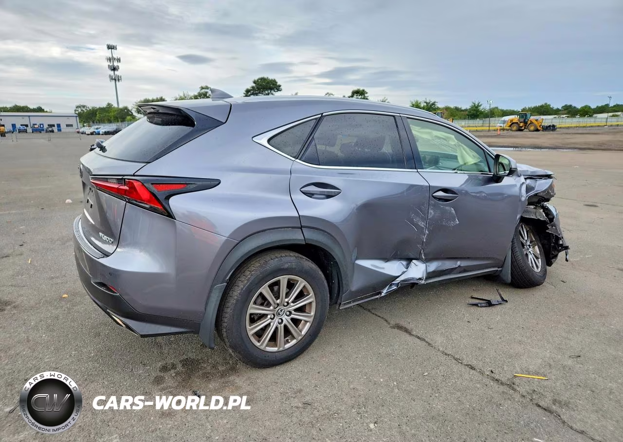 2020 Lexus Nx 300 VIN:JTJDARDZ3L2231542 - 3