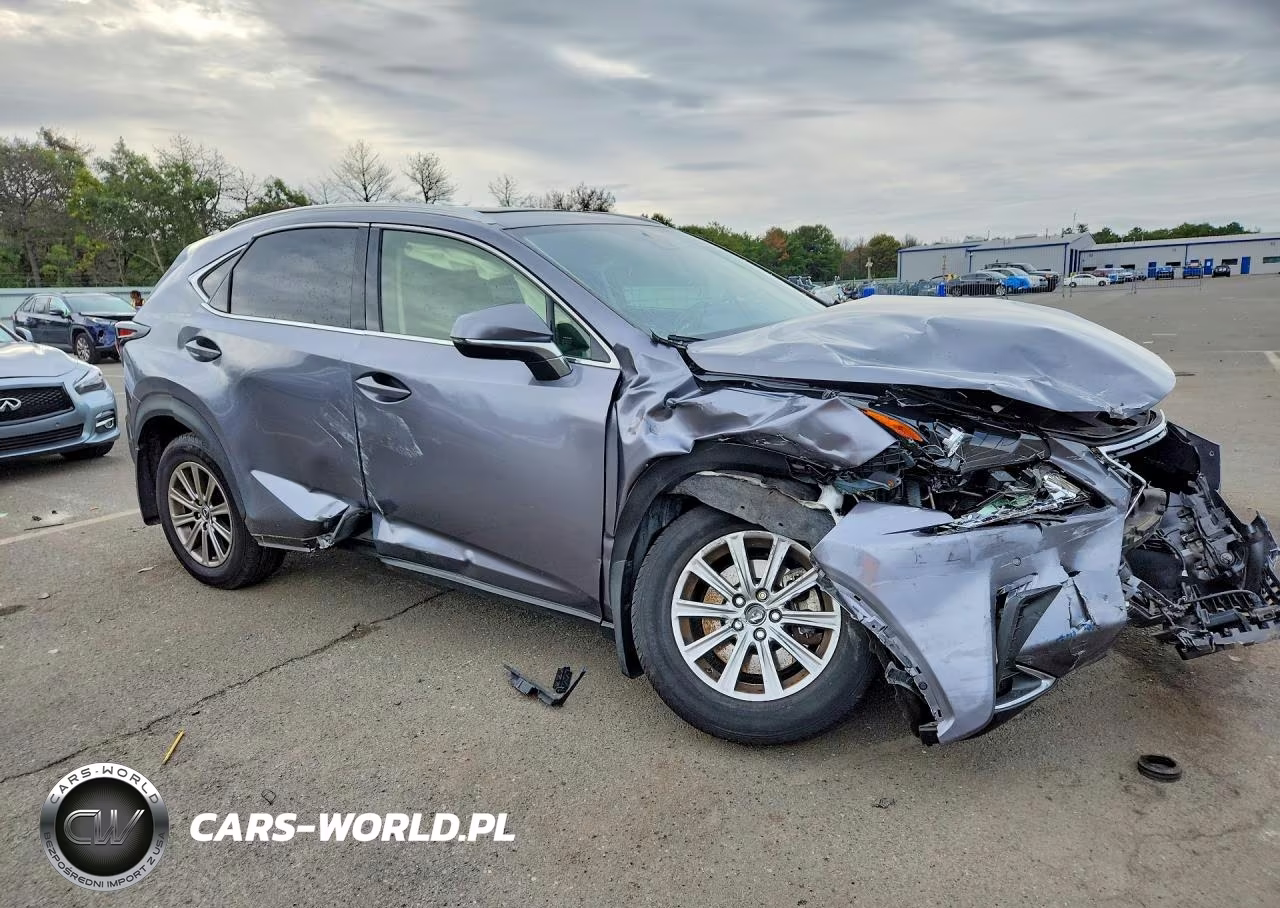 2020 Lexus Nx 300 VIN:JTJDARDZ3L2231542 - 4