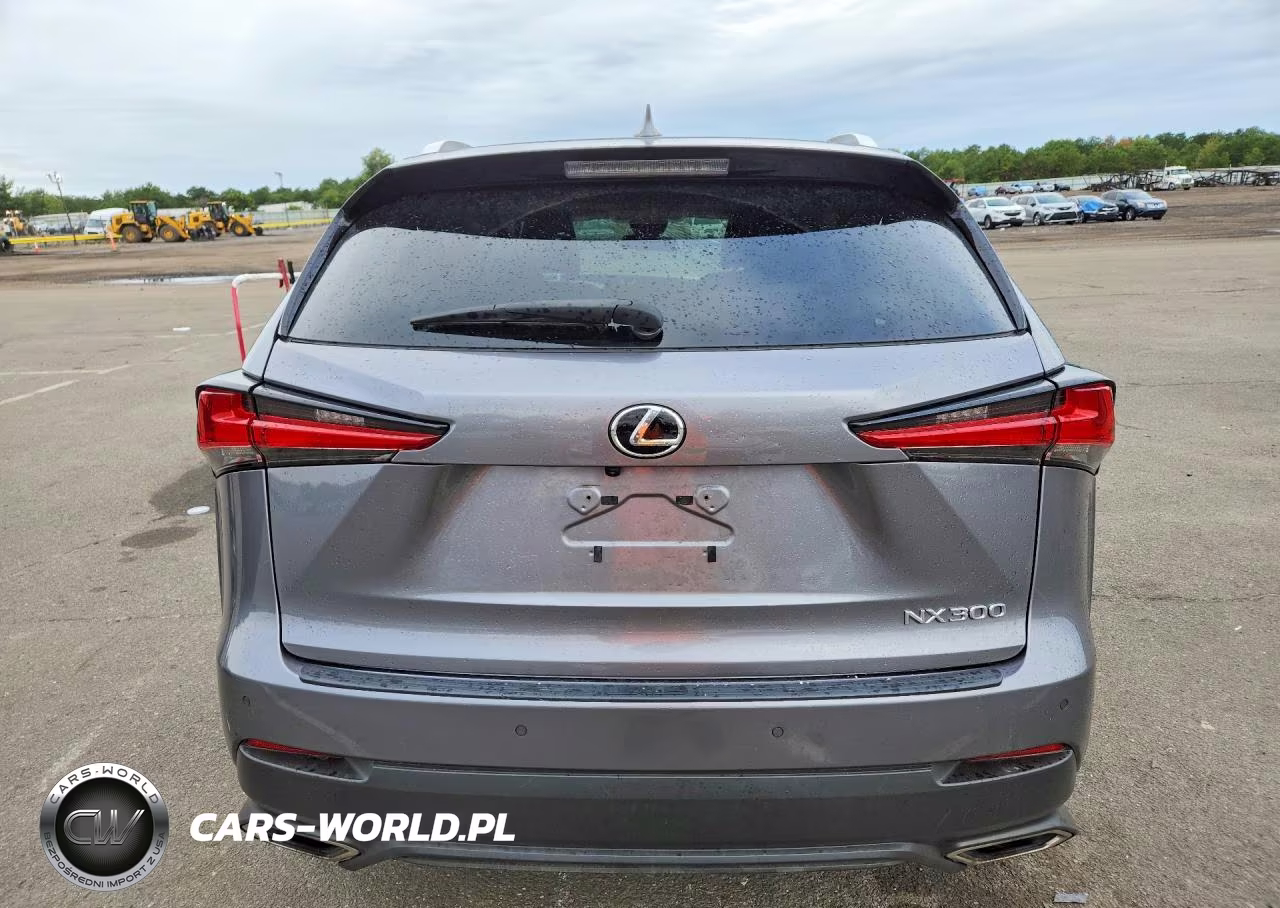 2020 Lexus Nx 300 VIN:JTJDARDZ3L2231542 - 6