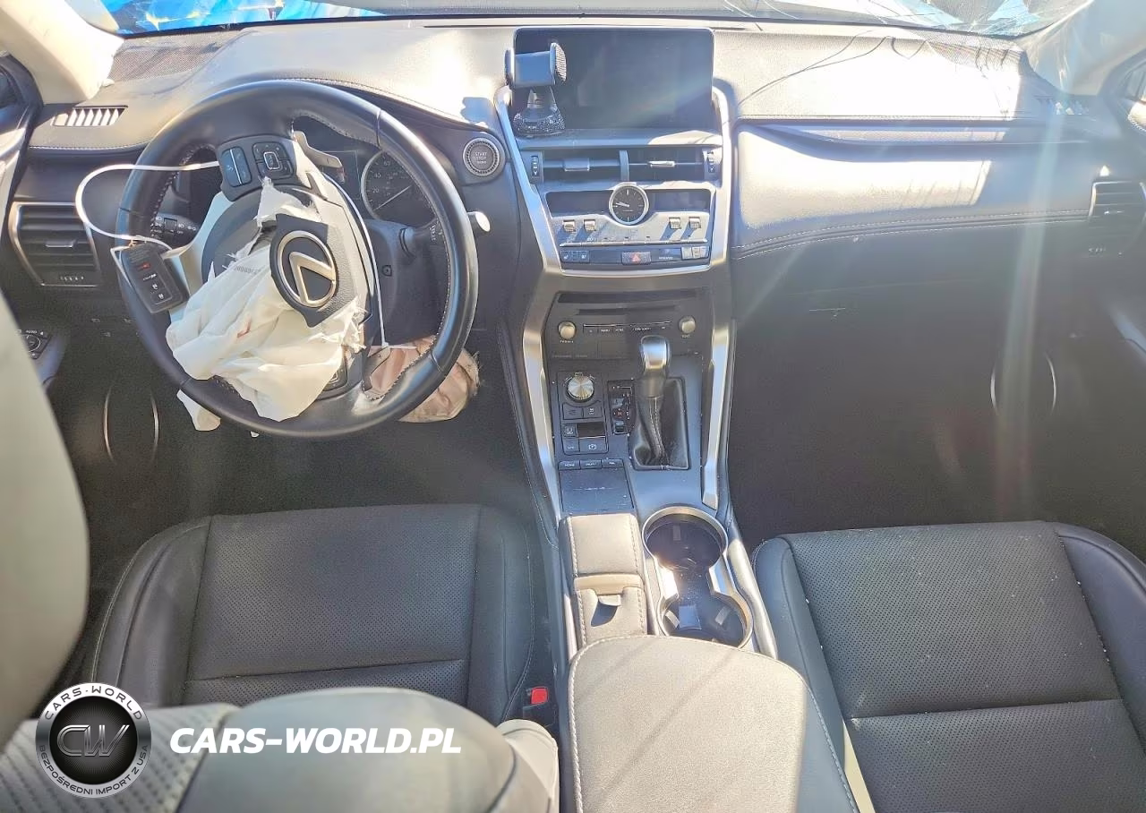 2020 Lexus Nx 300 VIN:JTJDARDZ3L2231542 - 8