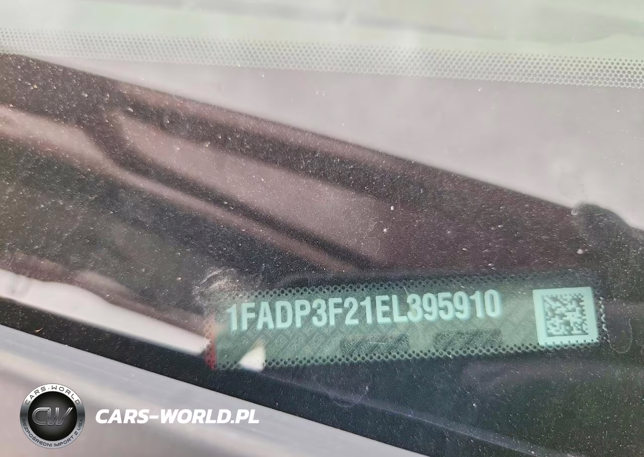 2014 Ford Focus Se VIN:1FADP3F21EL395910 - 12
