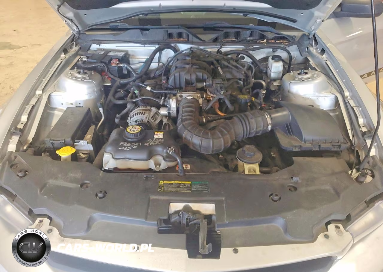 2010 Ford Mustang VIN:1ZVBP8EN2A5123095 - 11