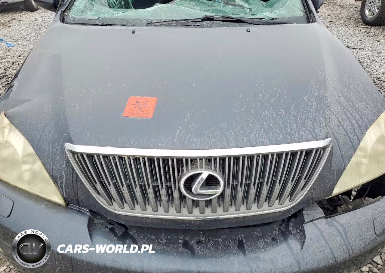 2006 Lexus Rx 330 VIN:2T2HA31U56C105422 - 11