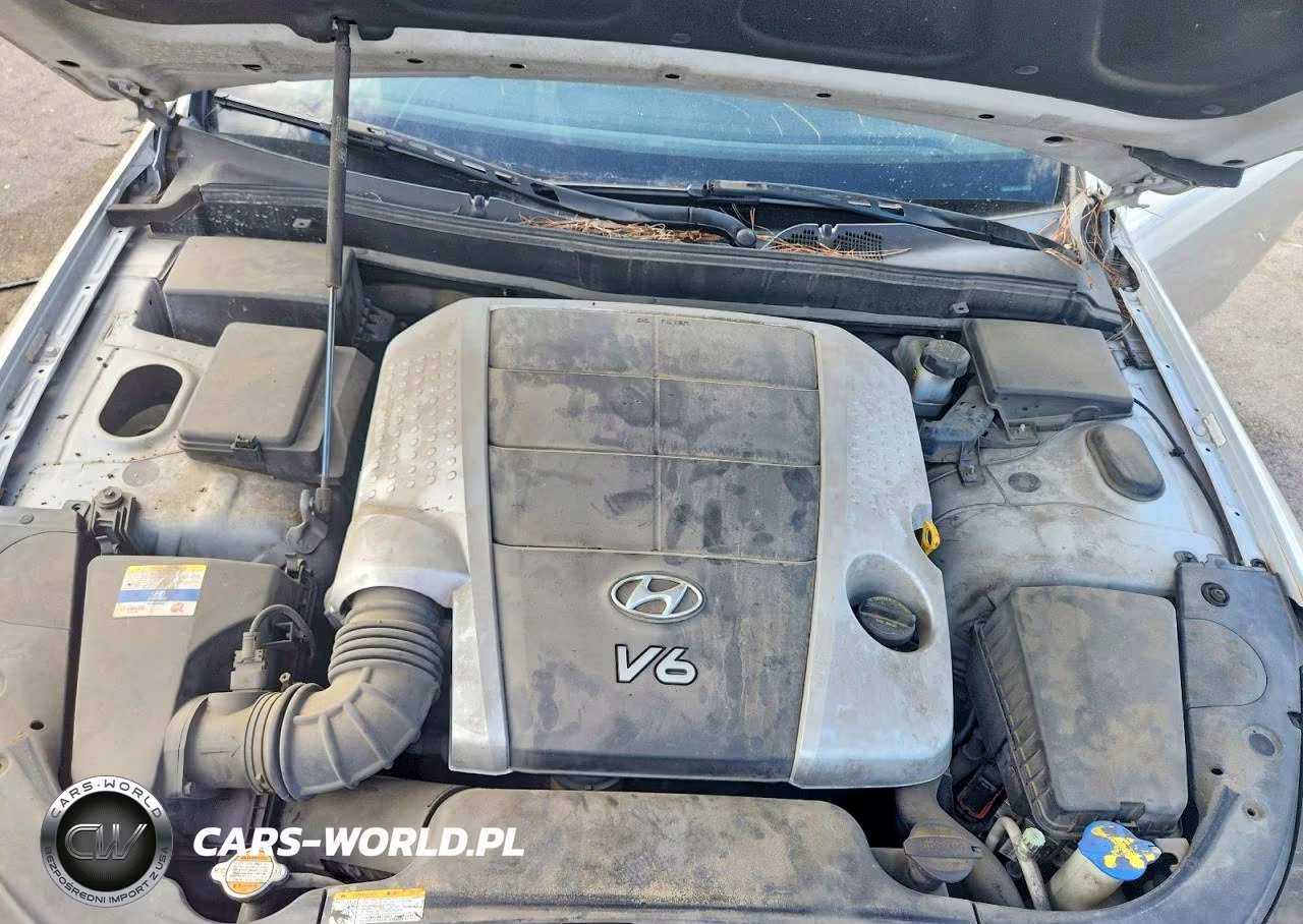 2011 Hyundai Genesis 3.8L VIN:KMHGC4DEXBU113206 - 11