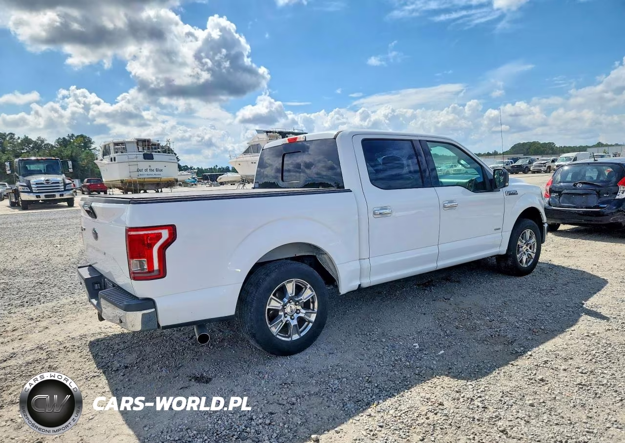 2017 Ford F150 Supercrew VIN:1FTEW1CPXHFA51565 - 3