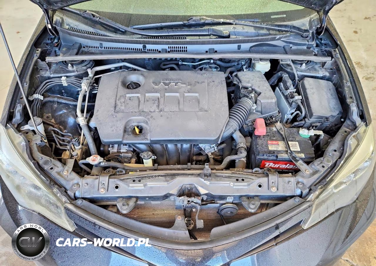 2019 Toyota Corolla Se VIN:2T1BURHE1KC126443 - 11
