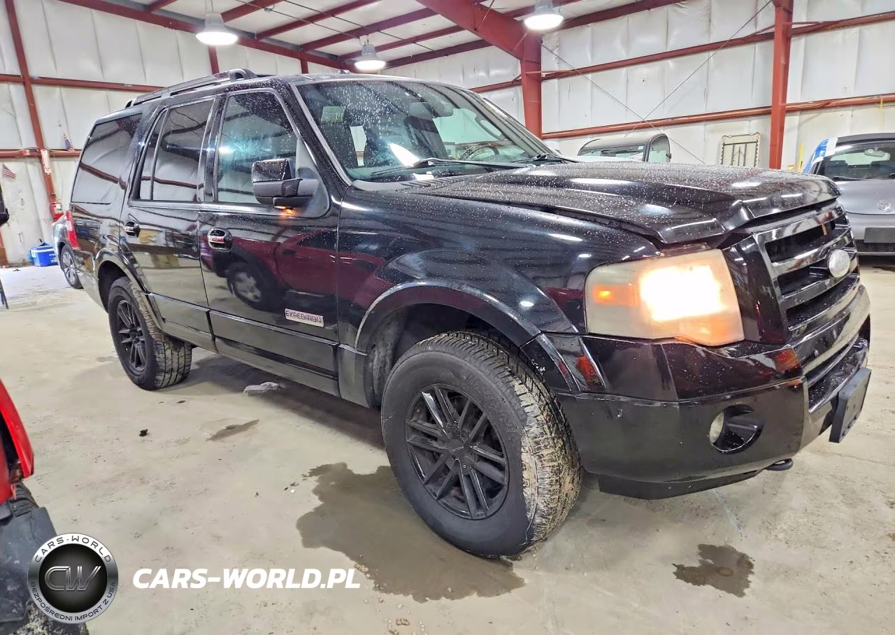 2007 Ford Expedition Limited VIN:1FMFU20577LA09126 - 4