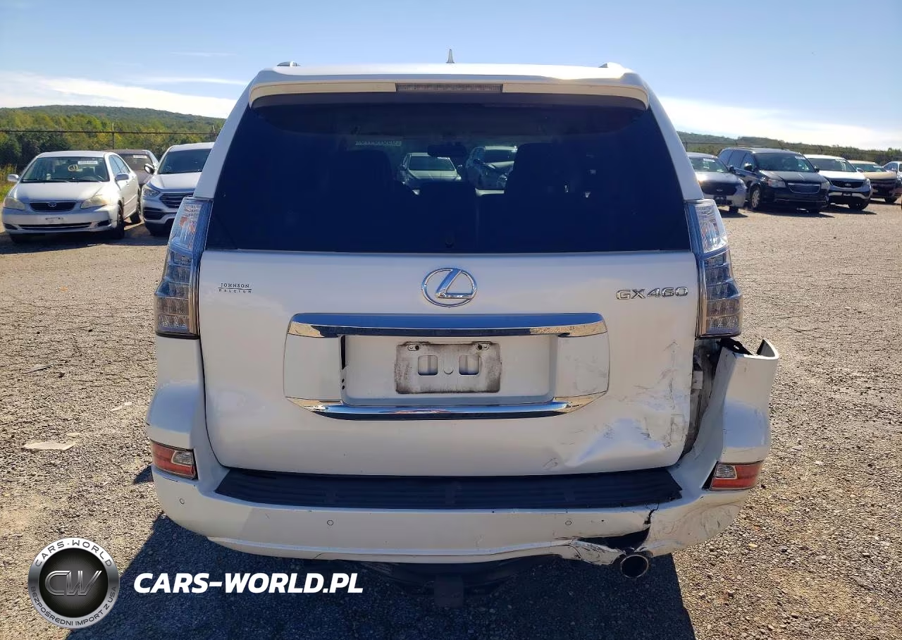2014 Lexus Gx 460 Premium VIN:JTJJM7FX5E5073331 - 6