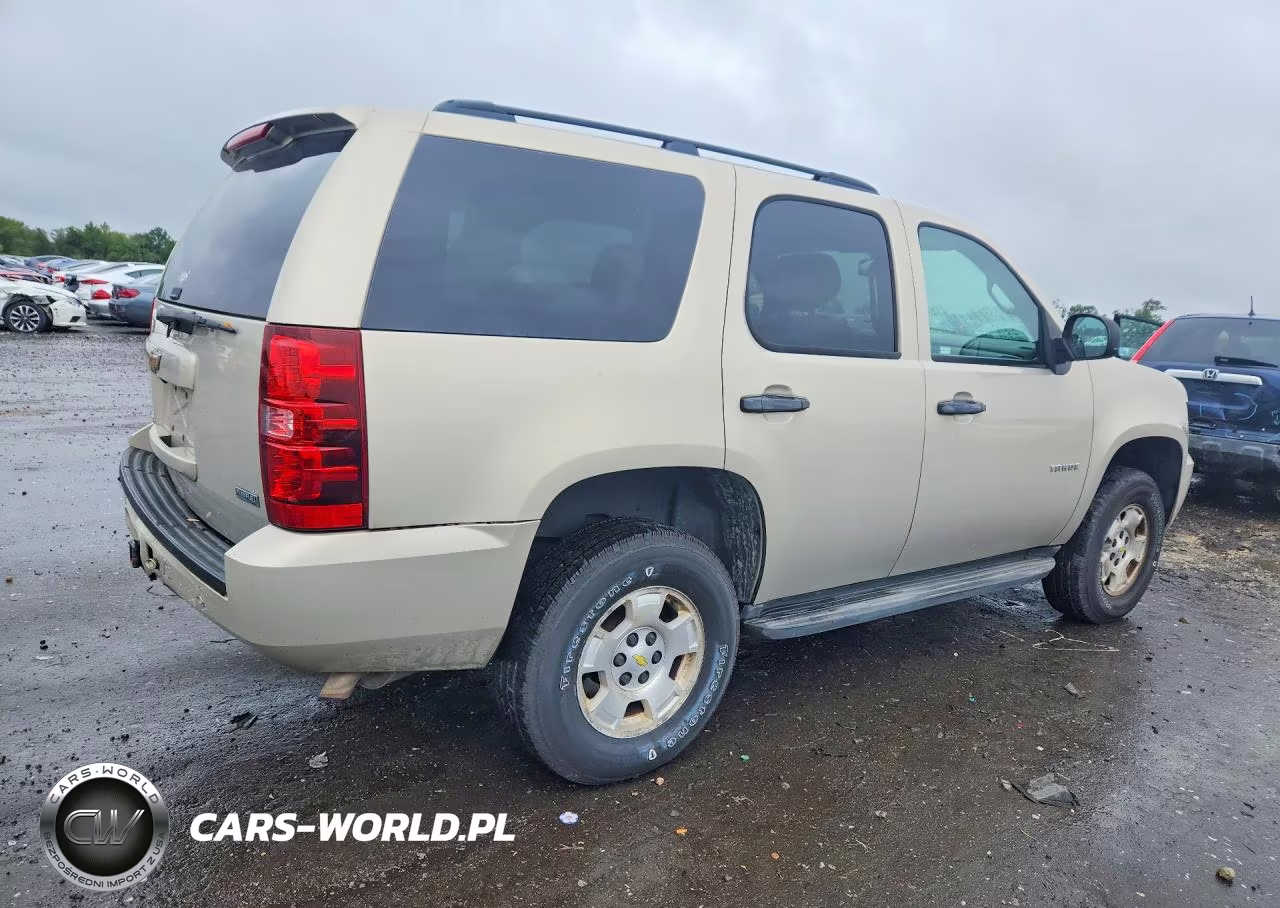 2010 Chevrolet Tahoe C1500 Ls VIN:1GNMCAE31AR216560 - 3