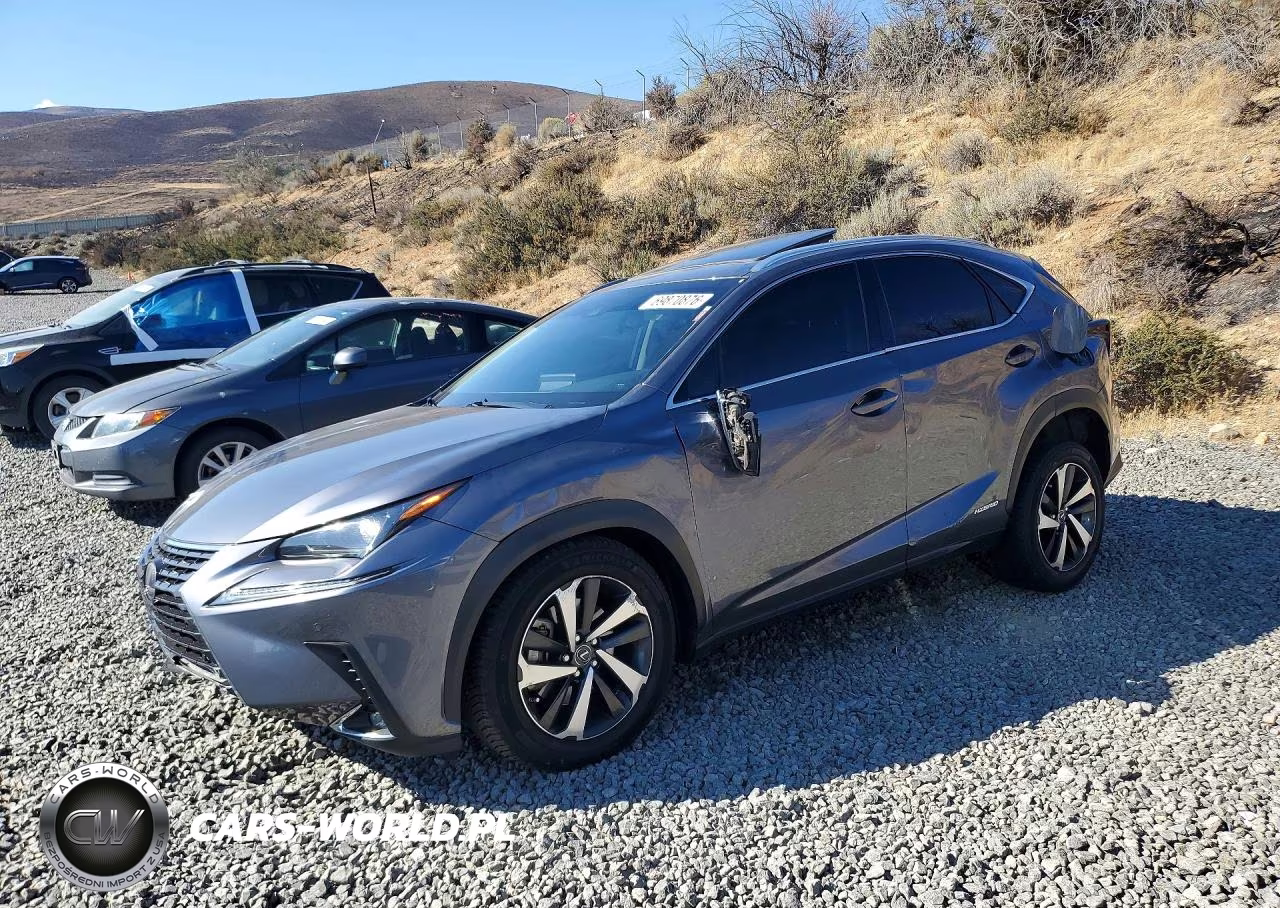 2020 Lexus Nx 300H VIN:JTJGJRDZ5L5007099 - 1
