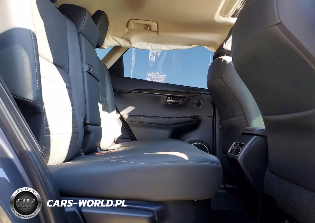 2020 Lexus Nx 300H VIN:JTJGJRDZ5L5007099 - 11