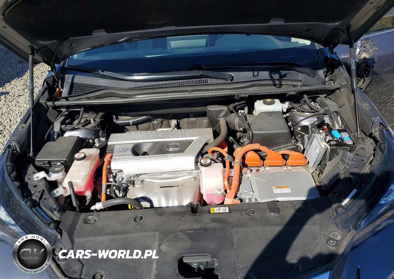 2020 Lexus Nx 300H VIN:JTJGJRDZ5L5007099 - 12