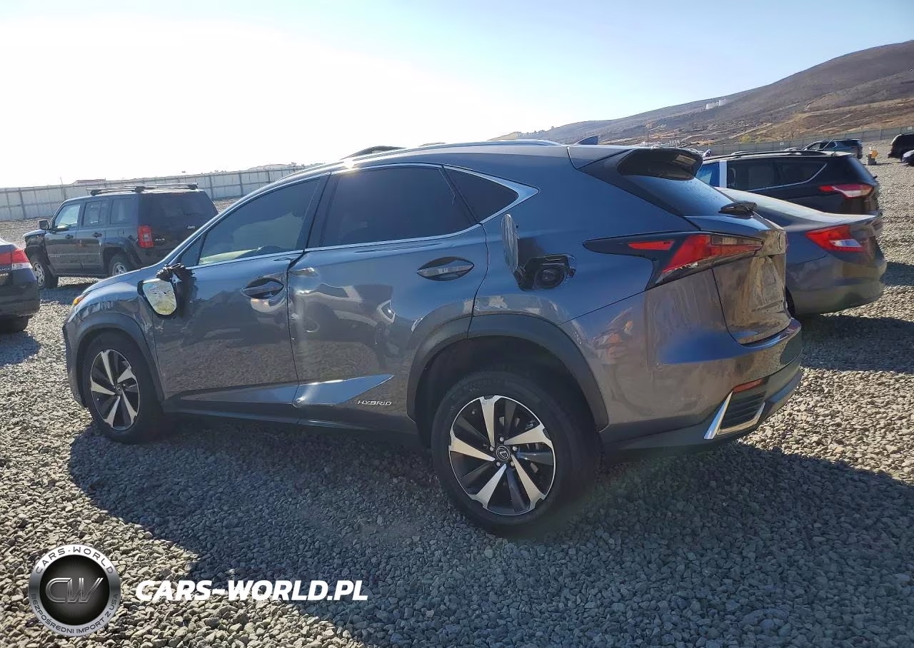 2020 Lexus Nx 300H VIN:JTJGJRDZ5L5007099 - 2