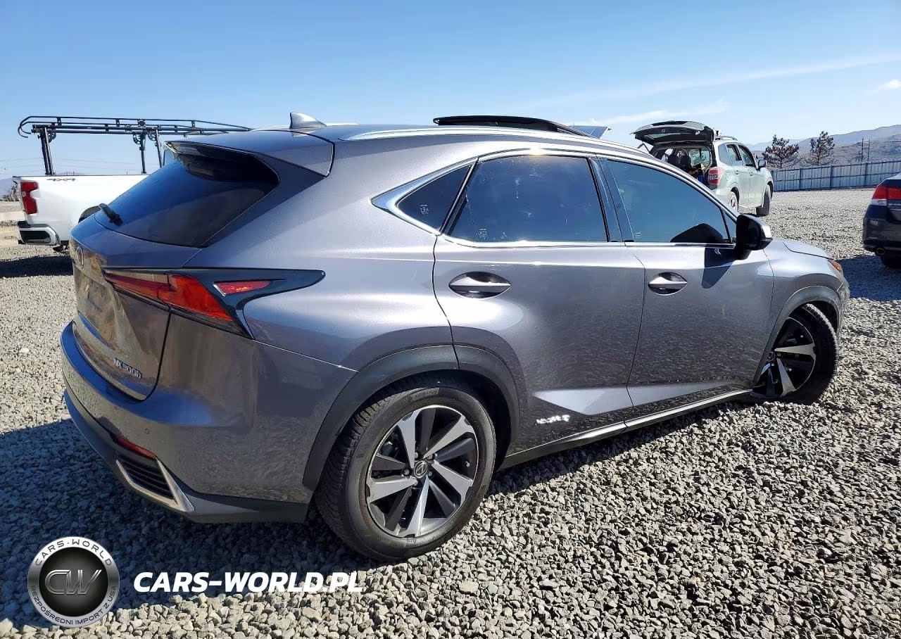2020 Lexus Nx 300H VIN:JTJGJRDZ5L5007099 - 3