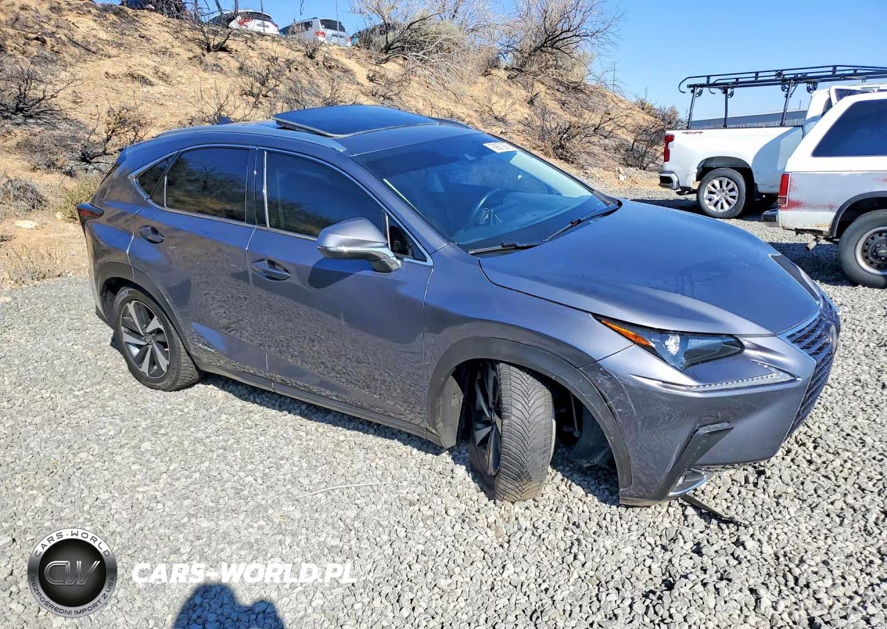 2020 Lexus Nx 300H VIN:JTJGJRDZ5L5007099 - 4