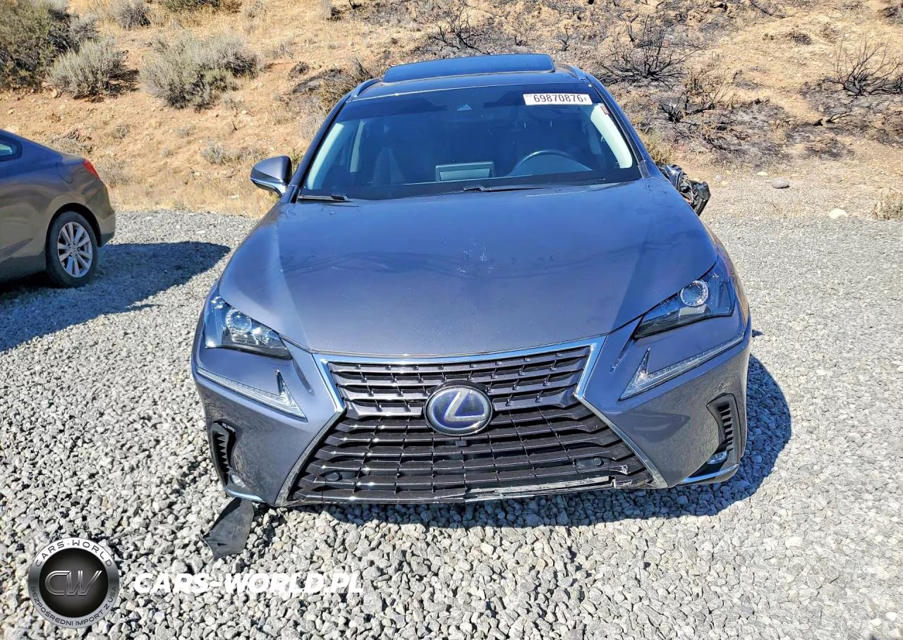 2020 Lexus Nx 300H VIN:JTJGJRDZ5L5007099 - 5