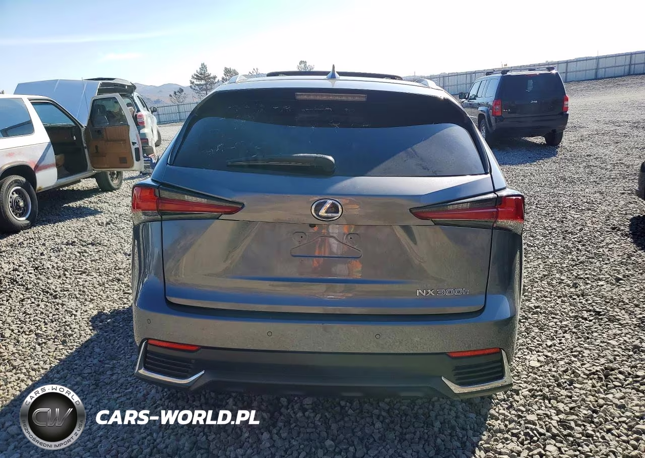 2020 Lexus Nx 300H VIN:JTJGJRDZ5L5007099 - 6